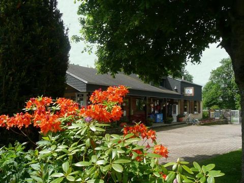 Camping Les Dômes - Camping Puy-de-Dôme - Image N°10