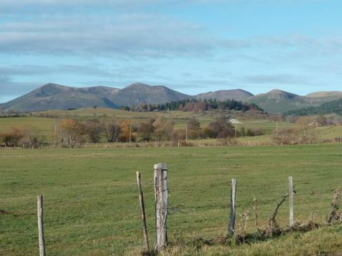 Camping Les Dômes - Camping Puy-de-Dôme - Image N°29
