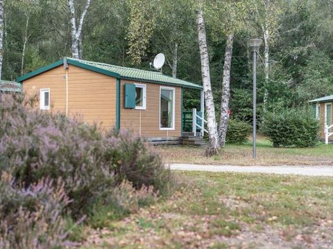 CHALET 4 personnes - Chalet Eco 2 Chambres 4 Personnes dimanche