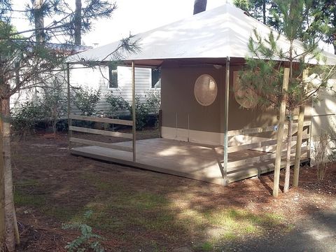 BUNGALOW TOILÉ 5 personnes - Tente lodge FIRST TRINIDAD