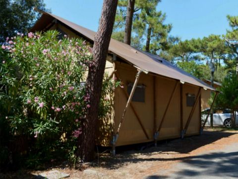 Tente en toile et en bois 6 personnes - Lodge PREMIUM BAHAMAS 6 personnes MEZZANINE