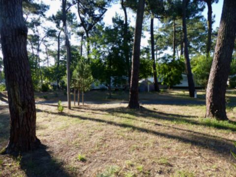 Emplacement - EMPLACEMENT CONFORT