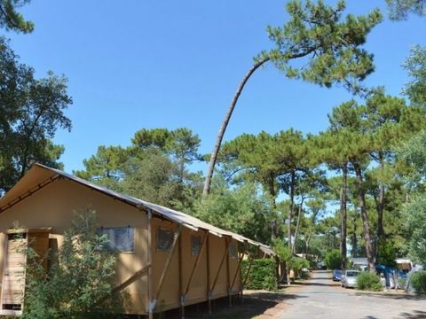 TENTE TOILE ET BOIS 6 personnes - Lodge PREMIUM BAHAMAS 6 personnes