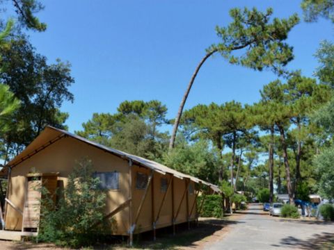 Tente en toile et en bois 6 personnes - Lodge PREMIUM BAHAMAS 6 personnes