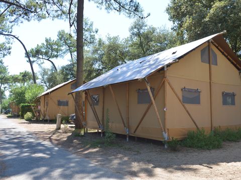 Camping Les Pins d'Oléron  - Camping Charente-Maritime - Image N°3