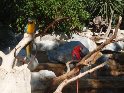 Camping Au Pigeonnier - Camping Charente-Maritime - Image N°70