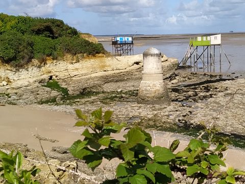 Camping Au Pigeonnier - Camping Charente-Maritime - Image N°73