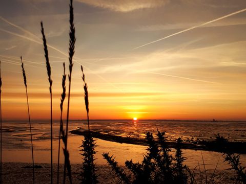 Camping Au Pigeonnier - Camping Charente-Maritime - Image N°19