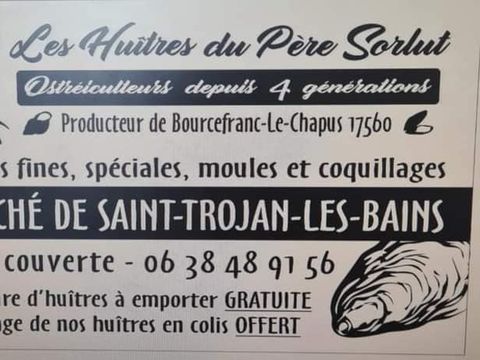 Camping Au Pigeonnier - Camping Charente-Maritime - Image N°78