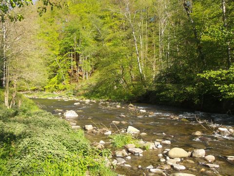 Camping Le Lachat - Camping Haute-Savoie - Image N°23