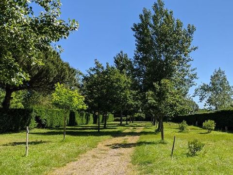 Camping Ile d'Oléron - Le Montet d'Oléron - Camping Charente-Maritime - Image N°8