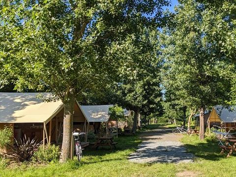 Camping Ile d'Oléron - Le Montet d'Oléron - Camping Charente-Maritime - Image N°7