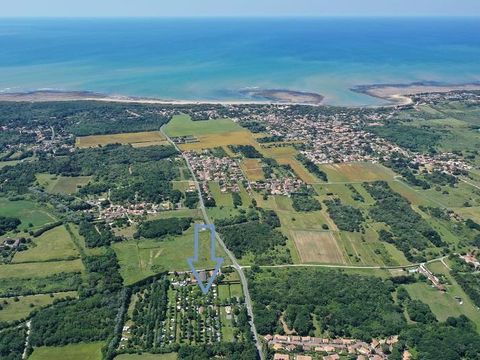 Camping Ile d'Oléron - Le Montet d'Oléron - Camping Charente-Maritime - Image N°6