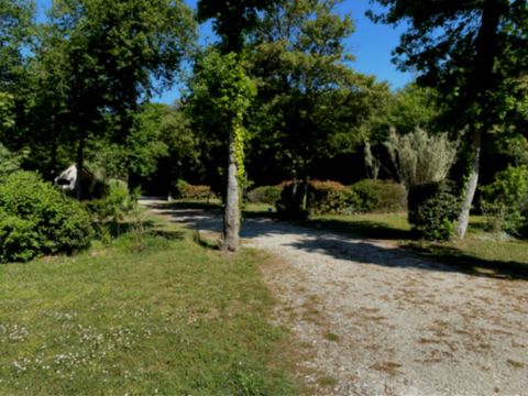 Emplacement - Privilège (100 à 150m2)