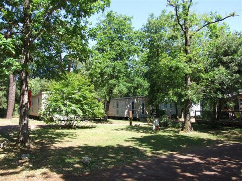 Camping Le Sous Bois - Camping Charente-Maritime - Image N°4