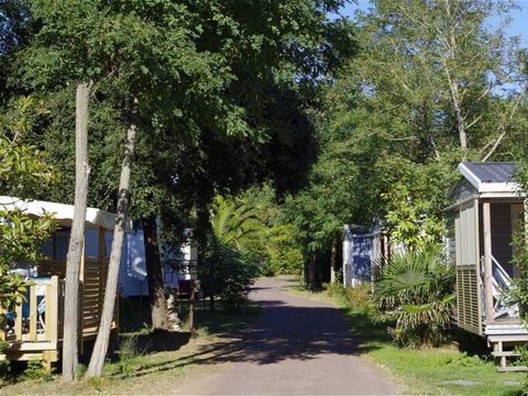 Camping Le Sous Bois - Camping Charente-Maritime - Image N°6