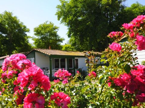 CHALET 4 personnes - YUCCA