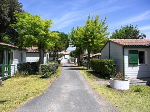 MOBILHOME 6 personnes - TAMARIS