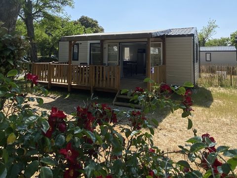 MOBILHOME 4 personnes - Cottage Macéron