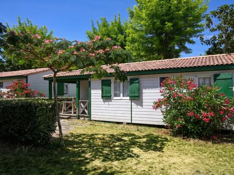 Camping Les Gros Joncs - Camping Charente-Maritime - Image N°23
