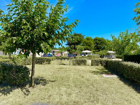 Camping Les Coquettes - Camping Charente-Maritime - Image N°4