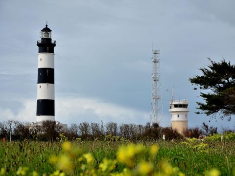 Camping Les Sables Vignier Plage - Camping Charente-Maritime - Image N°25