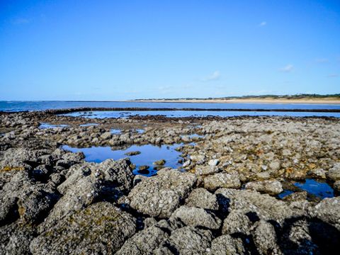 Les Sables Vignier Plage - Camping Charente-Maritime - Image N°18