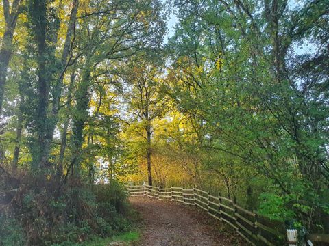 Camping Moulin du Pommier - Camping Charente - Image N°24