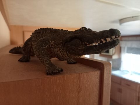 MOBILHOME 4 personnes - LOUISIANNE