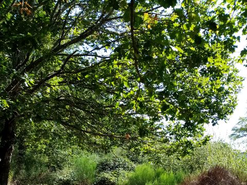 Camping La Perle - Camping Creuse - Image N°5