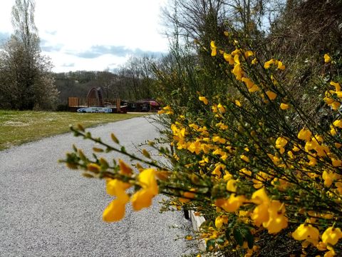 Camping La Perle - Camping Creuse - Image N°7