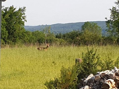 Camping La Perle - Camping Creuse - Image N°12