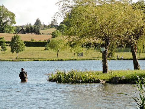 Camping L'Etang Philippe - Camping Puy-de-Dôme - Image N°3
