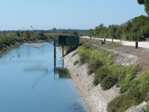 Camping Les Beaupins - Camping Charente-Maritime - Image N°17