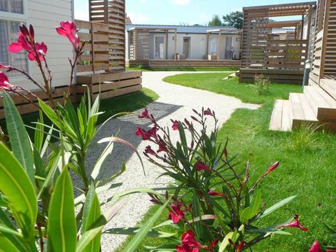Camping Les Beaupins - Camping Charente-Maritime - Image N°12