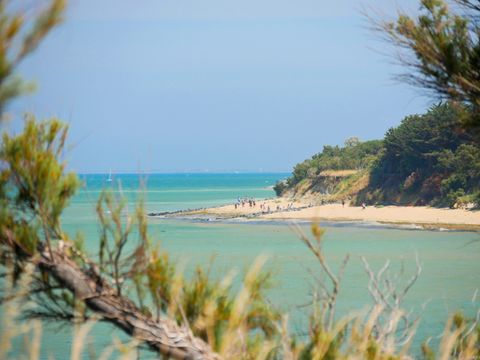 Camping Les Beaupins - Camping Charente-Maritime - Image N°17