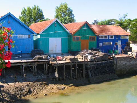 Camping Les Beaupins - Camping Charente-Maritime - Image N°8