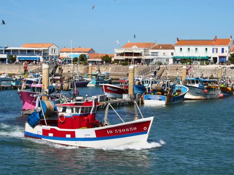 Camping Les Beaupins - Camping Charente-Maritime - Image N°14