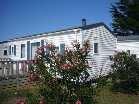 Camping Les Beaupins - Camping Charente-Maritime - Image N°19