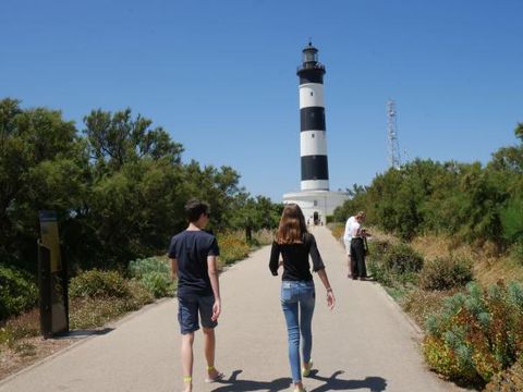 Camping Les Beaupins - Camping Charente-Maritime - Image N°14