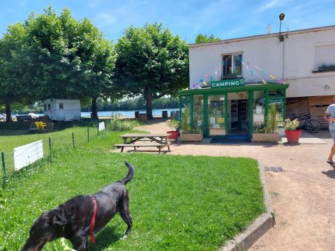 Camping du Val de Saône - Camping Ain - Image N°4