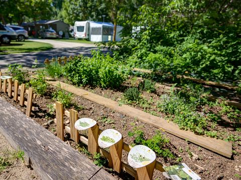 Camping la Venise Verte - Camping Deux-Sèvres - Image N°23