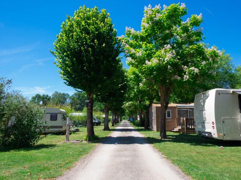 Camping la Venise Verte - Camping Deux-Sèvres - Image N°27