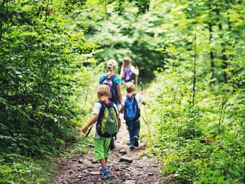 Camping la Venise Verte - Camping Deux-Sèvres - Image N°18