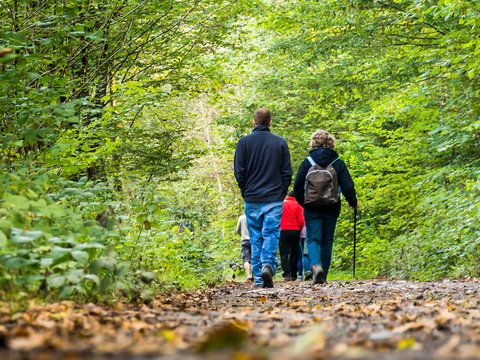 Camping la Venise Verte - Camping Deux-Sèvres - Image N°33