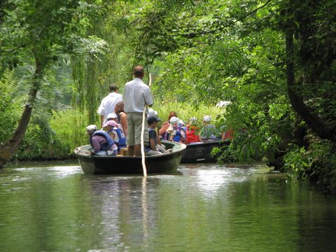 Camping la Venise Verte - Camping Deux-Sèvres - Image N°29