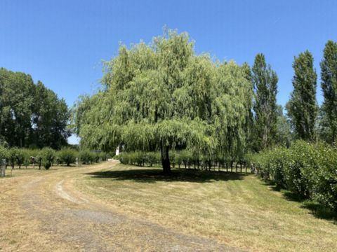 Emplacement - CAMPING