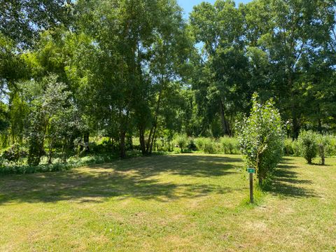 Camping Le Marais Sauvage - Camping Vendée - Image N°8