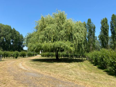 Camping Le Marais Sauvage - Camping Vendée - Image N°13