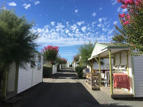 Camping Les Tulipes - Camping Vendée - Image N°2